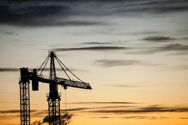 Cranes at dusk — Stock Photo, Image