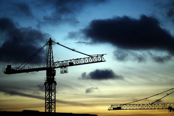 Cranes at dusk — Stock Photo, Image