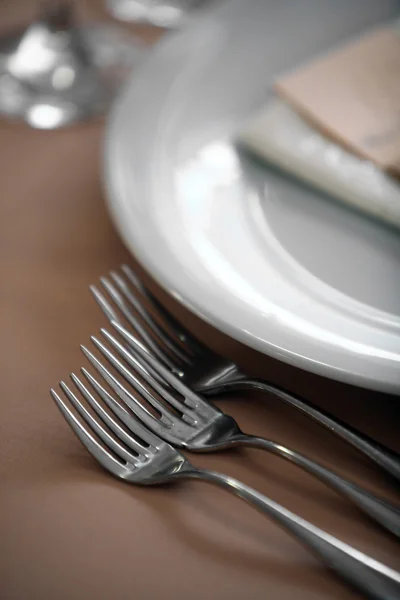 Dinner in a restaurant — Stock Photo, Image