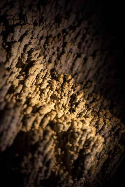 Tiny Rock Formations Cave Wall — Foto Stock