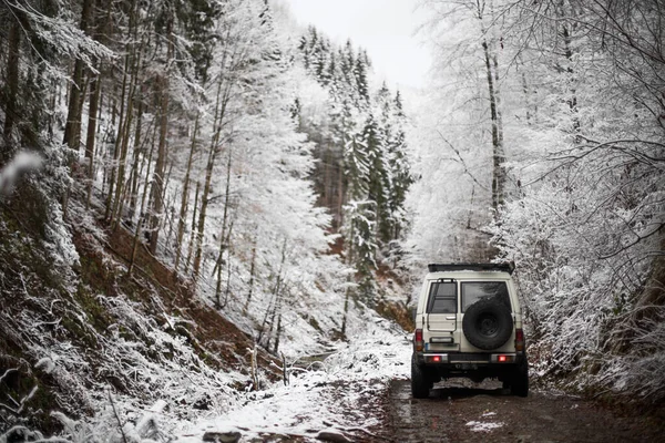 Karla Kaplı Bir Ormanda Yolda Giden Bir Arabanın Renkli Görüntüsü — Stok fotoğraf