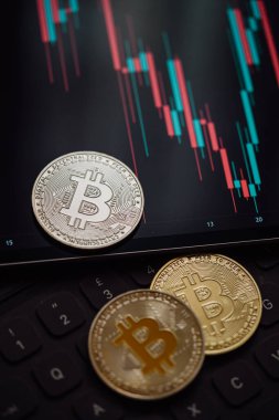 Çeşitli Bitcoin kripto para birimleri mum çubuğu grafik şeması, dizüstü bilgisayar klavyesi ve dijital arkaplan.