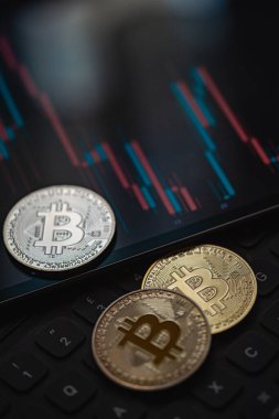 Çeşitli Bitcoin kripto para birimleri mum çubuğu grafik şeması, dizüstü bilgisayar klavyesi ve dijital arkaplan.