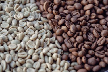 Bir yığın doğal çiğ ve kahverengi kahve çekirdeği..