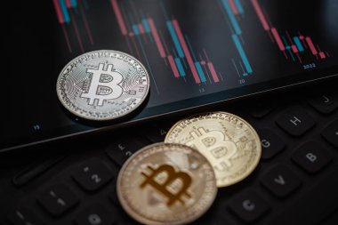 Çeşitli Bitcoin kripto para birimleri mum çubuğu grafik şeması, dizüstü bilgisayar klavyesi ve dijital arkaplan.