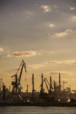 Konteynır terminali, vinçlerle, ticari bir limanda, alacakaranlıkta, kuşlar geçerken.