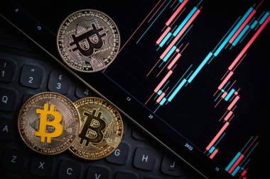 Çeşitli Bitcoin kripto para birimleri mum çubuğu grafik şeması, dizüstü bilgisayar klavyesi ve dijital arkaplan.