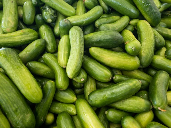 A pile of very delicious exotic vegetables, cucumber in a grocery. — Stock Photo, Image