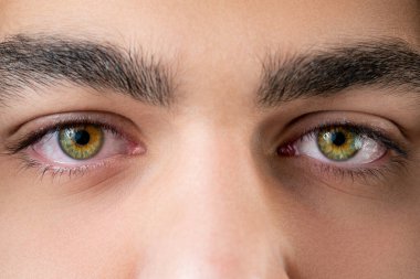 Kapat, makro renkli göz fotoğrafı, göz bebeği, göz bebeği, kirpik, göz kapağı..