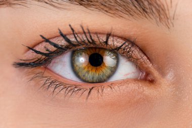 Close up, macro photo of o female color eye, iris, pupil, eye lashes, eye lids.