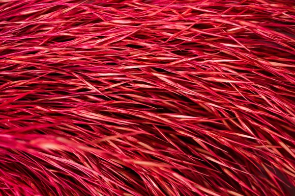 Macro Photography Red Colored Dry Straw Pattern Abstract Horizontal Stripes — 图库照片