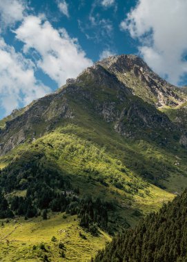 Kackar dağlarının manzarası ve mavi gökyüzü olan yeşil orman. Rize, Türkiye. Yüksek kalite fotoğraf