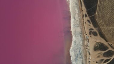 İnsansız hava aracı kıyı ve pembe göl üzerinde uçuyor. 4k hava aracı görüntüsü