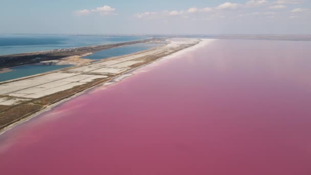 Drone beweegt langs het roze meer en de blauwe zee — Stockvideo