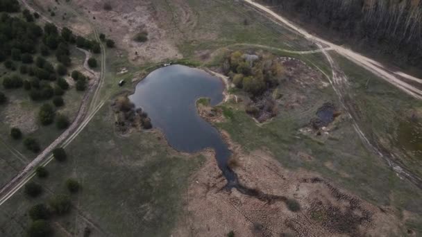 드론 이 숲 4k 에 있는 작은 호수 위를 날고 있다. — 비디오