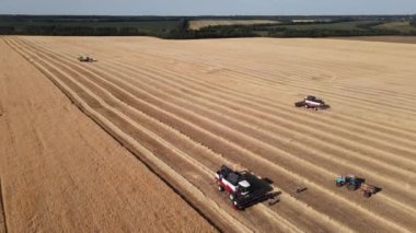 Hasatçılar tarlaları buğdayla biçer. Endüstriyel işletmelerin 4K personeli