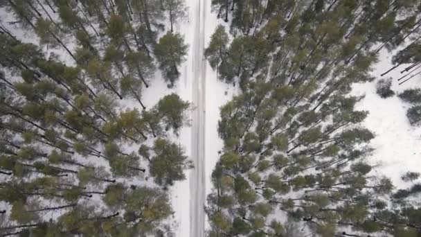 Drone se mueve sobre la carretera que pasa a través de los bosques en invierno — Vídeo de stock