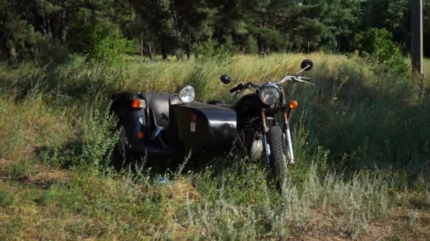 Oude sovjet motorfiets staat in een veld op het gras — Stockvideo