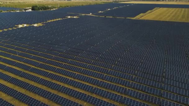 Riprese aeree di pannelli solari in piedi in fila nei campi, — Video Stock