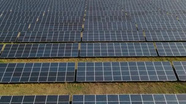 Muitos painéis solares localizados em um grande campo — Vídeo de Stock