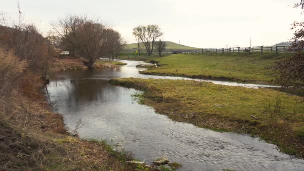 Materiał filmowy małej rzeki biegnącej w pobliżu pola z płotami — Wideo stockowe