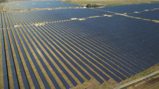 Alanlardaki güneş enerjisi panelleri art arda yeşil enerji ortamı — Stok video