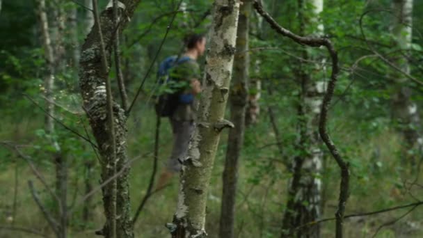 Un hombre un turista camina a través de un denso bosque impenetrable — Vídeos de Stock