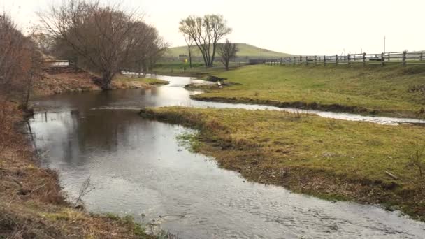 Filmato di un piccolo fiume che scorre vicino a un campo con recinzioni — Video Stock