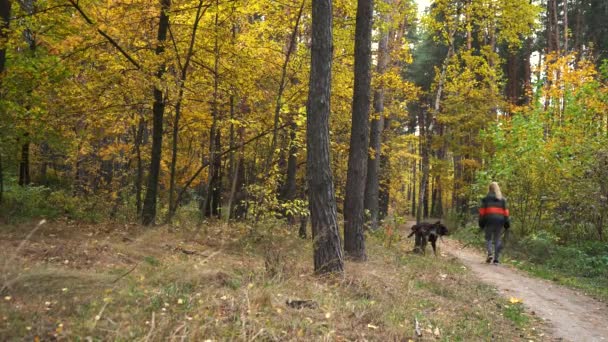 Une fille se promène avec un chien à l'automne avant. — Video