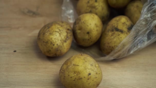 Haufen junger Kartoffeln liegen auf dem Tisch — Stockvideo
