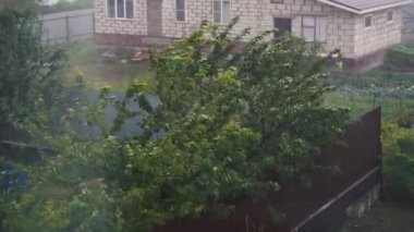 Sağanak yağmur ve sallanan ağaçlarla fırtına ve kar fırtınası