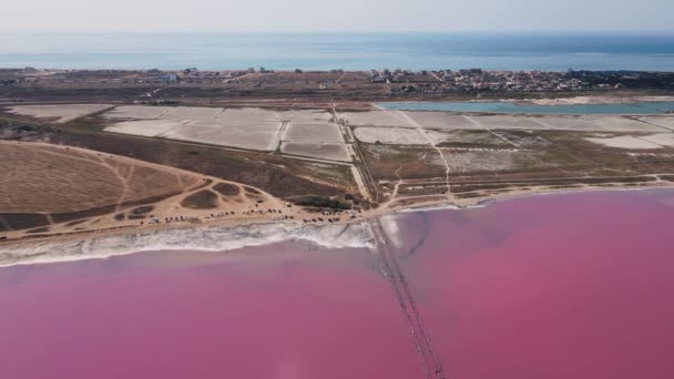 从鸟类的视角看克里米亚的粉色湖泊 — 图库视频影像