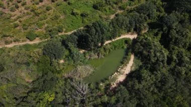 Ağaçlarla gizlenmiş küçük bir gölün 4K drone atışları