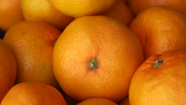 Muchas mandarinas se encuentran en primer plano con una cámara que se acerca — Vídeo de stock