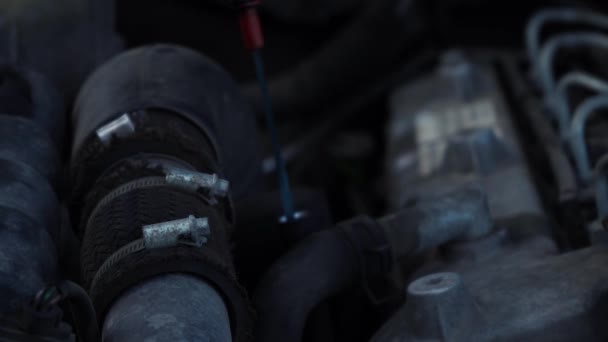 Чоловік перевіряє олію під капотом автомобіля поза фокусом — стокове відео