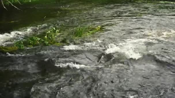 Forte corrente in un fiume di montagna. 4k filmati — Video Stock