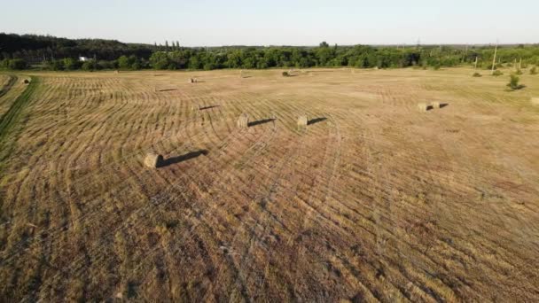Movimento del drone intorno ai pagliai distesi sul campo. tiro aereo — Video Stock