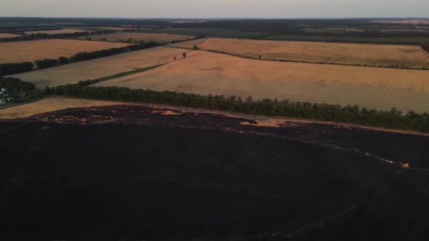 Záběry z vypáleného pole 4k dronu — Stock video