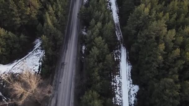 Dennenbos drone beweging met weg in het centrum. luchtfoto 's — Stockvideo