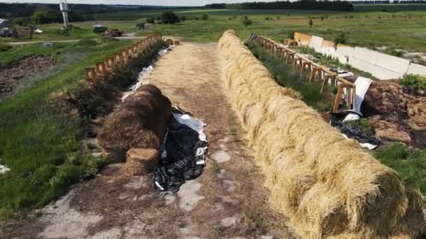 Vista aérea de una pila cercana con muchos fardos o rollos de paja en un campo de tierras agrícolas en el otoño. — Vídeo de stock