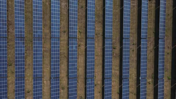 Вид солнечной электростанции с воздуха, вид солнечной фермы с солнечным светом с воздуха. — стоковое видео