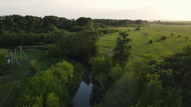 4k metraje de un dron que se mueve a lo largo de un campo verde con un río y un bosque — Vídeos de Stock