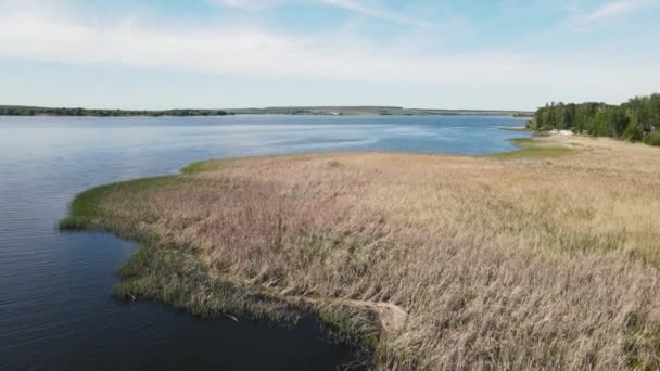 Drone sparatoria della riva del fiume. tiro aereo — Video Stock