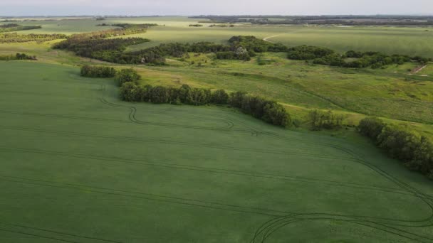Широкие воздушные зеленые поля с большой высоты — стоковое видео