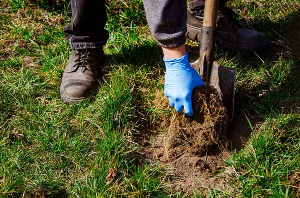 Kürekle bahar toprağı kazmak. Yakın çekim, sığ DOF.