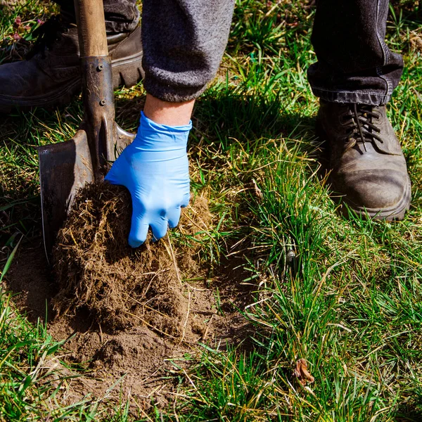 Frühlingserde Mit Schaufel Ausheben Nahaufnahme Seichter Dof — Stockfoto