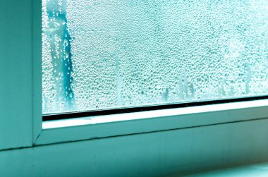 Ekoloji sorunları. Beyaz plastik pencerelerde yoğunlaşma ve siyah küf. Plastik. Ekoloji