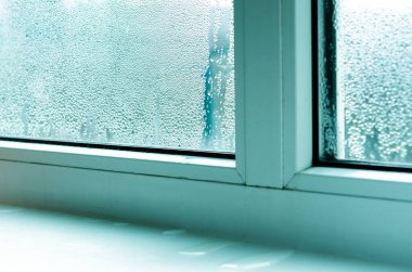 Ekoloji sorunları. Beyaz plastik pencerelerde yoğunlaşma ve siyah küf. Plastik. Ekoloji