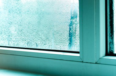 Ekoloji sorunları. Beyaz plastik pencerelerde yoğunlaşma ve siyah küf. Plastik. Ekoloji