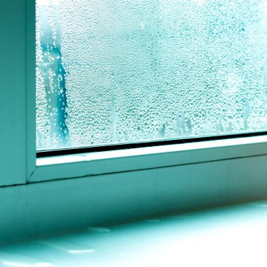 Ekoloji sorunları. Beyaz plastik pencerelerde yoğunlaşma ve siyah küf. Plastik. Ekoloji